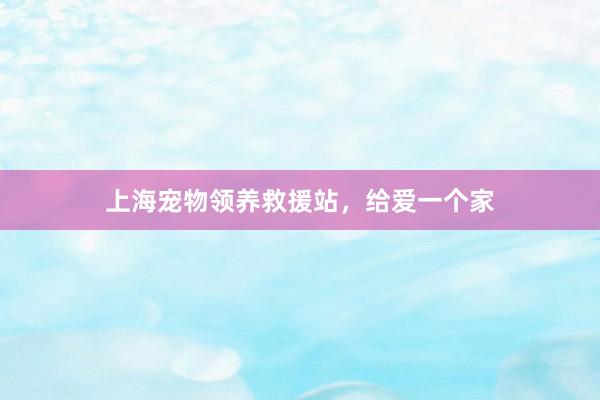 上海宠物领养救援站，给爱一个家